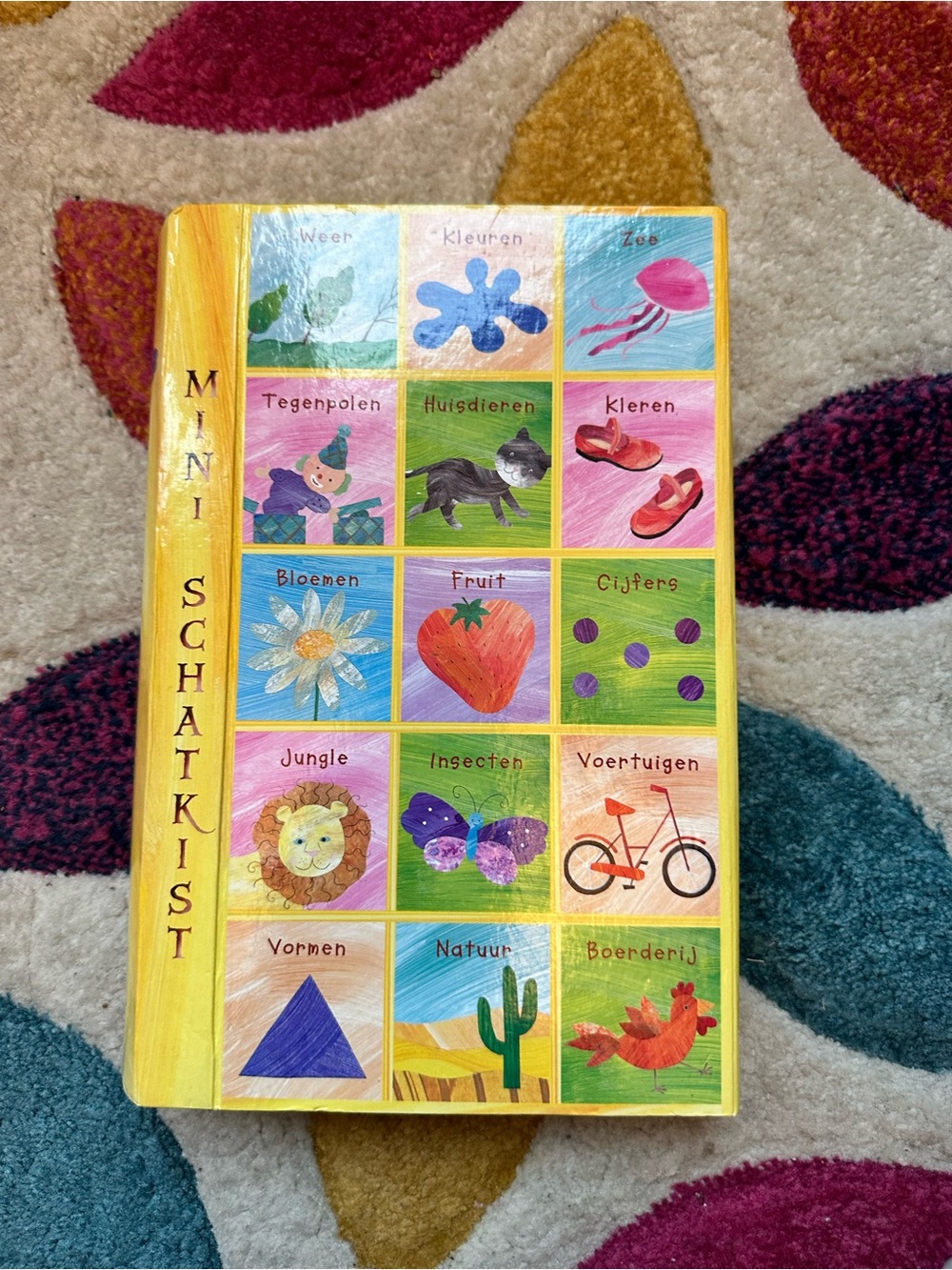 Dutch Mini Schatkist Children's Books Early Learning Vocabulary Words